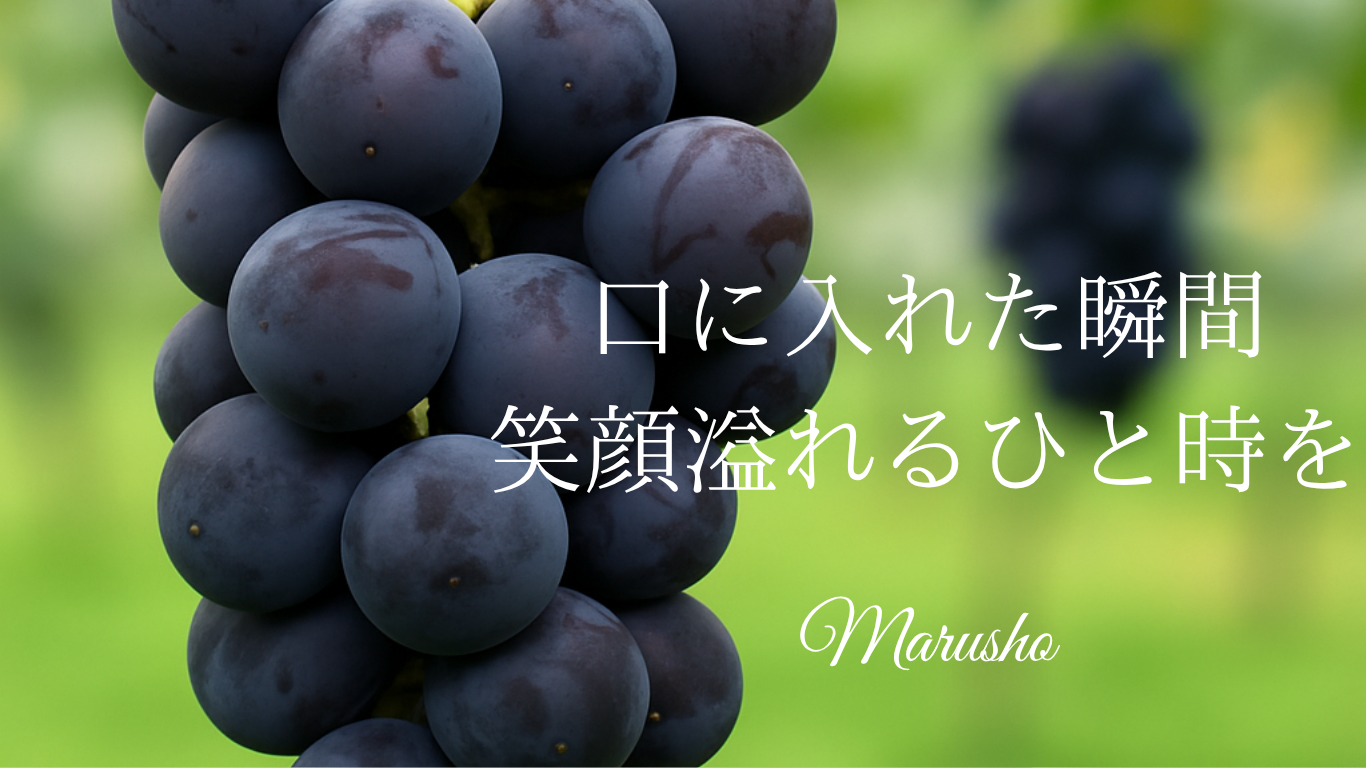 マルショー葡萄園 【直売・全国発送・オンラインストア】 | Marusho